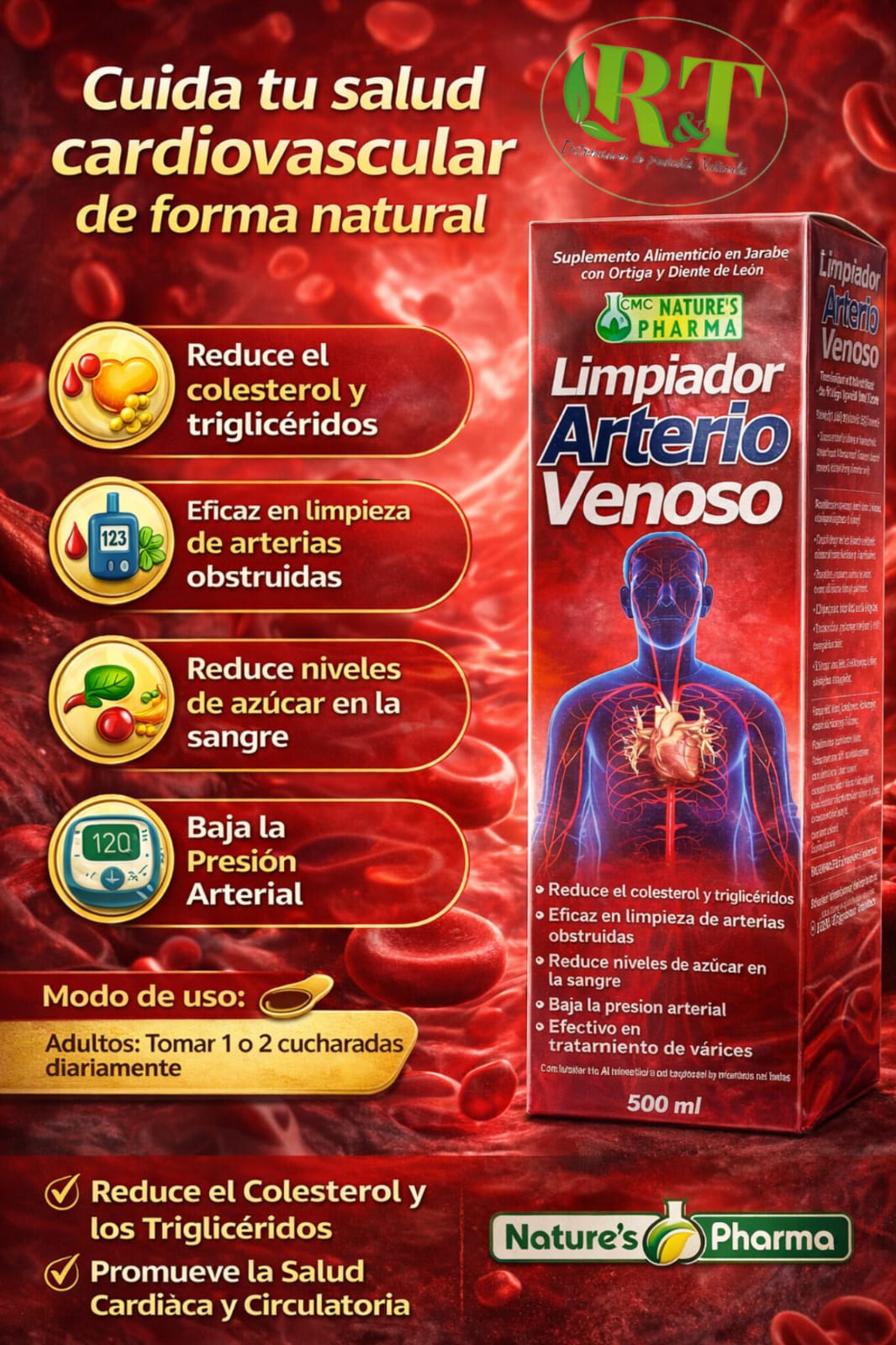 🩸 Limpiador Arteria Venoso – Bienestar para tu circulación