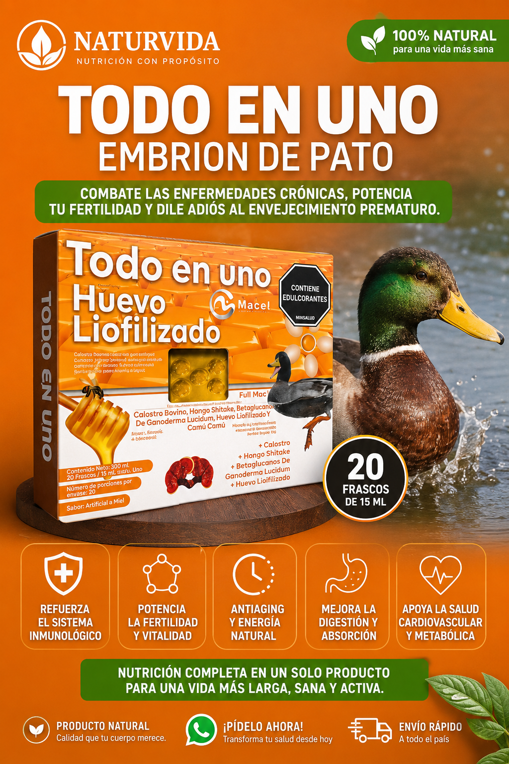 🥚✨ EMBRIÓN DE PATO TODO EN 1 ✨🥚